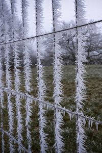 Preview wallpaper wire, frost, ice