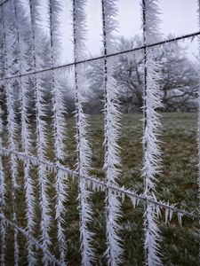Preview wallpaper wire, frost, ice