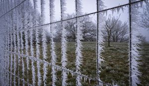 Preview wallpaper wire, frost, ice