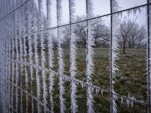 Preview wallpaper wire, frost, ice