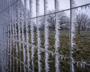 Preview wallpaper wire, frost, ice