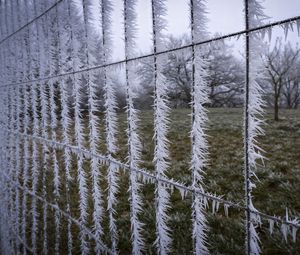 Preview wallpaper wire, frost, ice