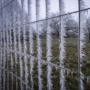 Preview wallpaper wire, frost, ice