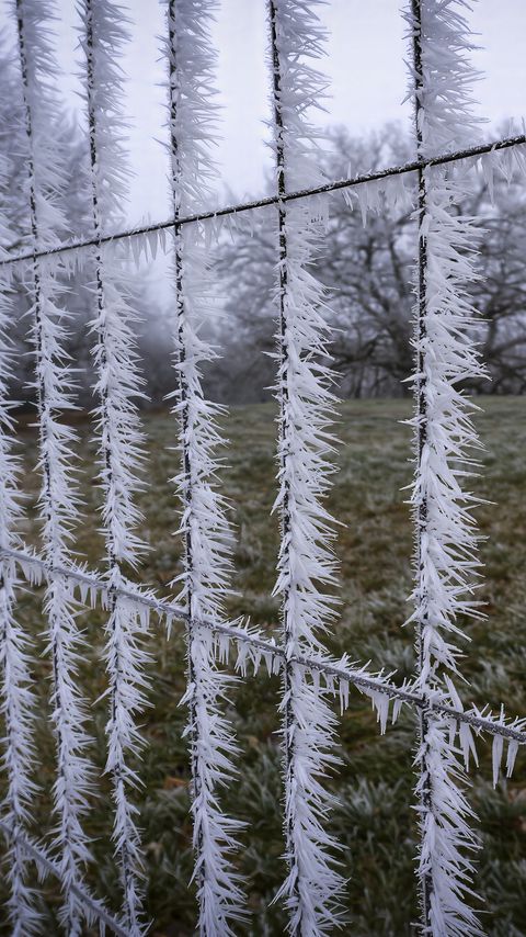 480x854 Wallpaper wire, frost, ice