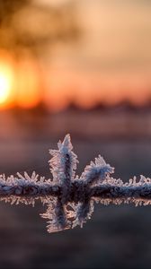 Preview wallpaper wire, frost, winter, sunrise