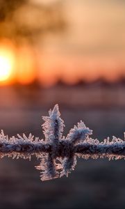 Preview wallpaper wire, frost, winter, sunrise