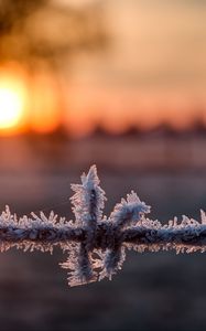 Preview wallpaper wire, frost, winter, sunrise