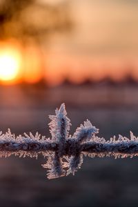 Preview wallpaper wire, frost, winter, sunrise