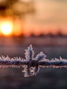 Preview wallpaper wire, frost, winter, sunrise