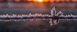 Preview wallpaper wire, frost, winter, sunrise