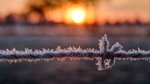 Preview wallpaper wire, frost, winter, sunrise