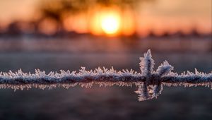 Preview wallpaper wire, frost, winter, sunrise