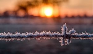 Preview wallpaper wire, frost, winter, sunrise