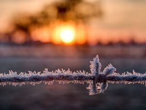 Preview wallpaper wire, frost, winter, sunrise