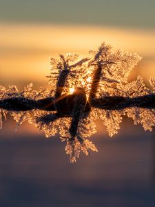 Preview wallpaper wire, frost, winter, sunrise, blur