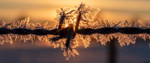 Preview wallpaper wire, frost, winter, sunrise, blur