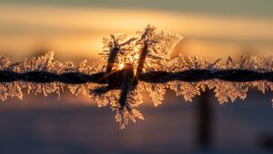 Preview wallpaper wire, frost, winter, sunrise, blur