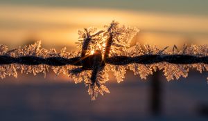 Preview wallpaper wire, frost, winter, sunrise, blur