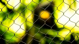 Preview wallpaper wire, grid, blur, macro