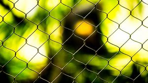Preview wallpaper wire, grid, blur, macro
