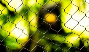 Preview wallpaper wire, grid, blur, macro