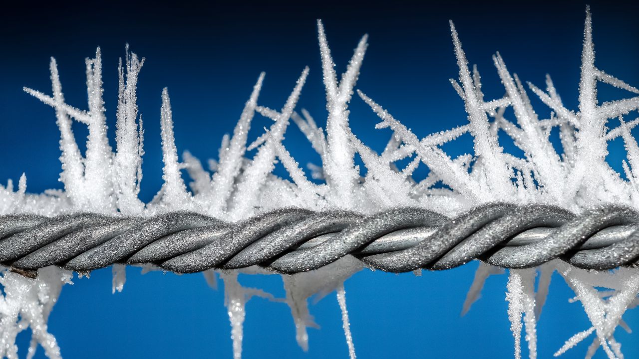 Wallpaper wire, hoarfrost, snow