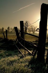 Preview wallpaper wire, protection, light, grass, morning, frosts