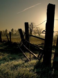 Preview wallpaper wire, protection, light, grass, morning, frosts