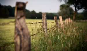 Preview wallpaper wire, protection, stakes, grass, ears, border, degradation