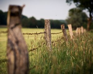 Preview wallpaper wire, protection, stakes, grass, ears, border, degradation