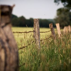 Preview wallpaper wire, protection, stakes, grass, ears, border, degradation