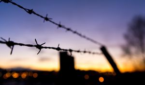 Preview wallpaper wire, spikes, blur, evening