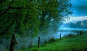 Preview wallpaper wire, stakes, morning, protection, trees, haze, humidity, freshness