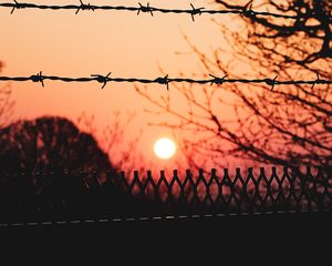 Preview wallpaper wire, thorns, sunset, sun, branches