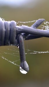 Preview wallpaper wire, web, drops, rain, macro
