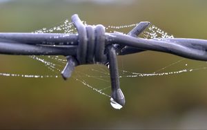 Preview wallpaper wire, web, drops, rain, macro