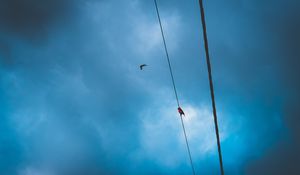 Preview wallpaper wires, clouds, birds, sky