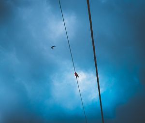 Preview wallpaper wires, clouds, birds, sky