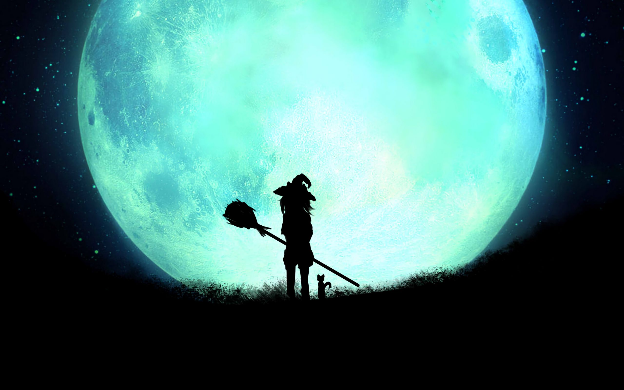 Download wallpaper 2560x1600 witch, silhouette, moon, full moon, night ...