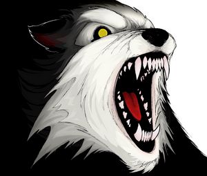 Preview wallpaper wolf, aggression, teeth, vector