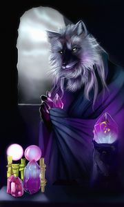 Preview wallpaper wolf, alchemist, art, crystals, magic