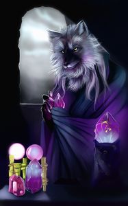 Preview wallpaper wolf, alchemist, art, crystals, magic