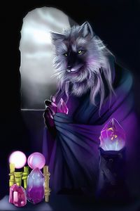 Preview wallpaper wolf, alchemist, art, crystals, magic