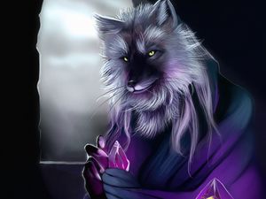 Preview wallpaper wolf, alchemist, art, crystals, magic