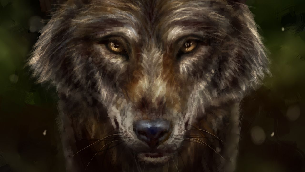 Wallpaper wolf, animal, predator, art