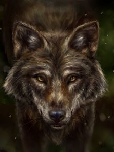 Preview wallpaper wolf, animal, predator, art