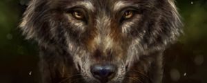 Preview wallpaper wolf, animal, predator, art
