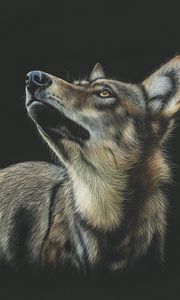 Preview wallpaper wolf, art, drawing, dark, glance