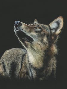 Preview wallpaper wolf, art, drawing, dark, glance