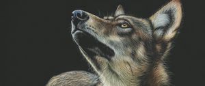 Preview wallpaper wolf, art, drawing, dark, glance